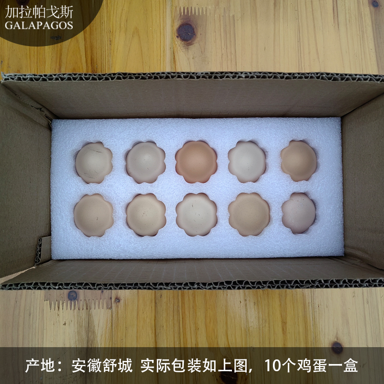 加拉帕戈斯GALAPAGOS鸡蛋