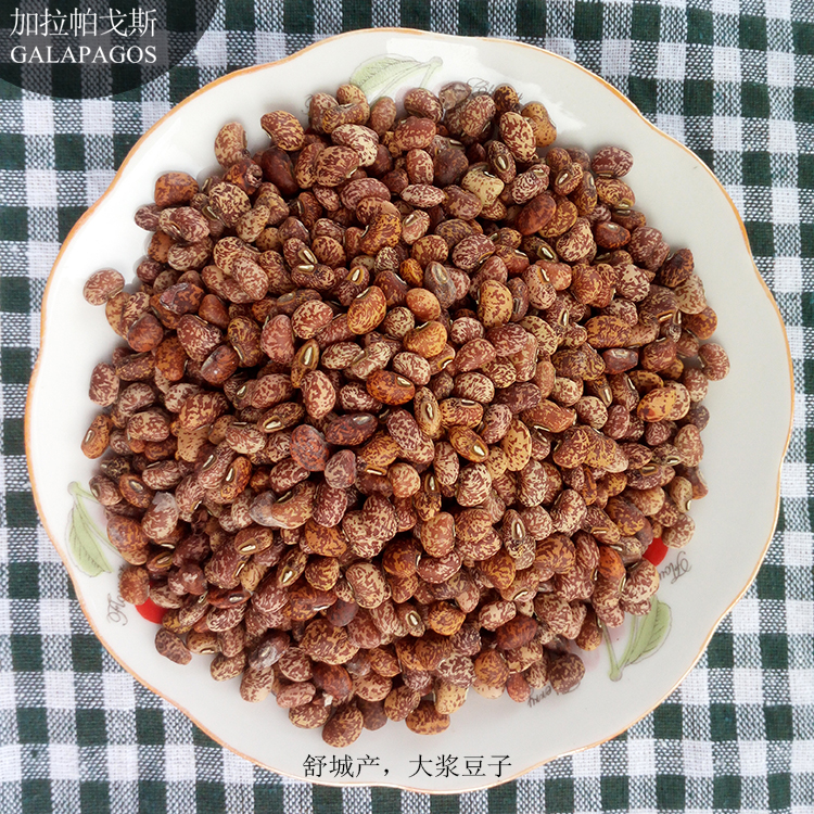 加拉帕戈斯GALAPAGOS麻豆大浆豆子